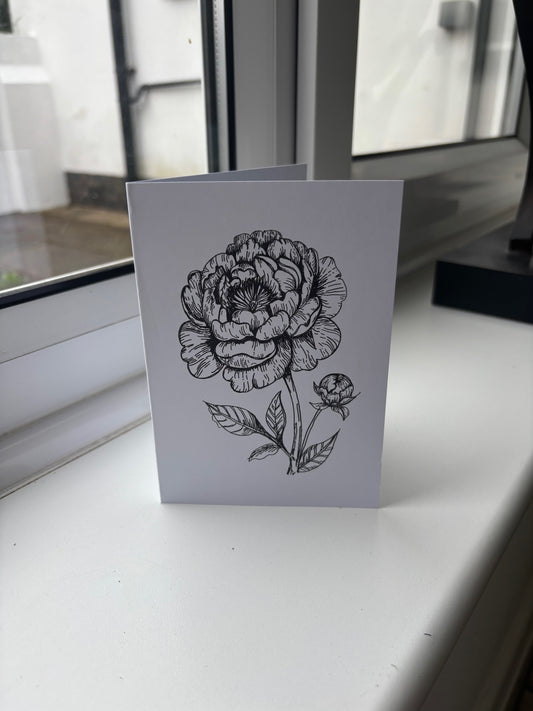 Peonies