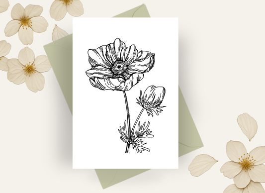 Anemone