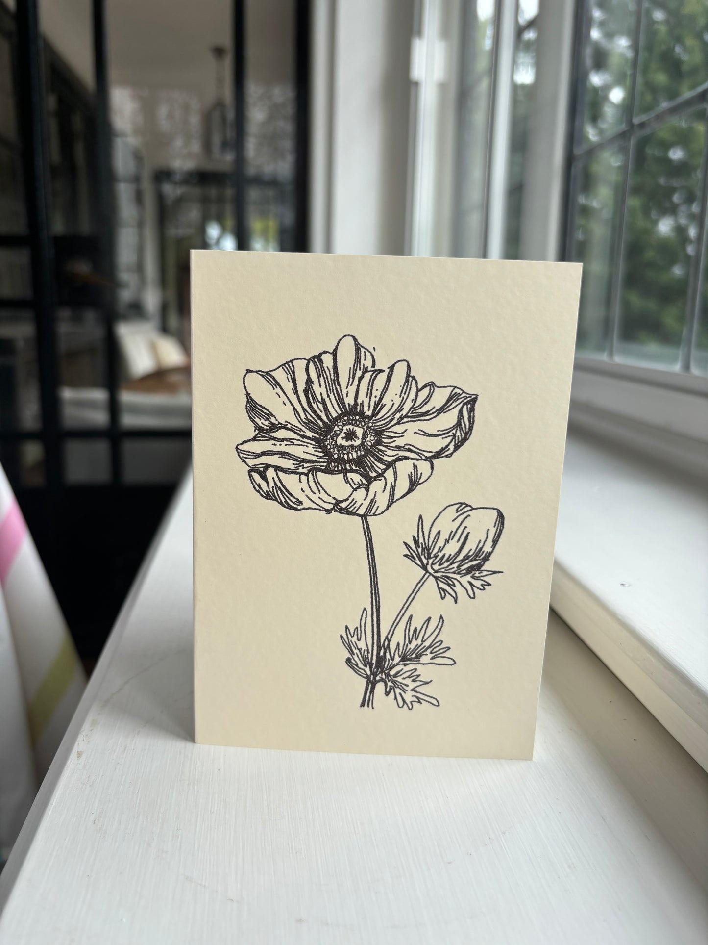 Anemone