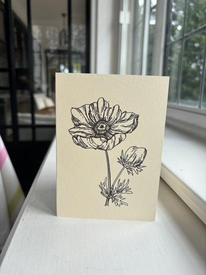 Anemone