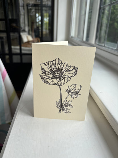 Anemone