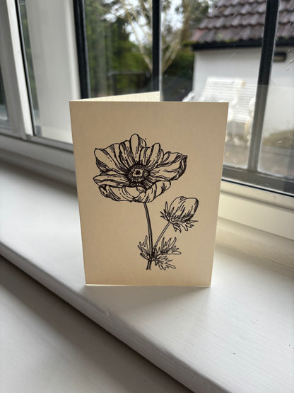 Anemone
