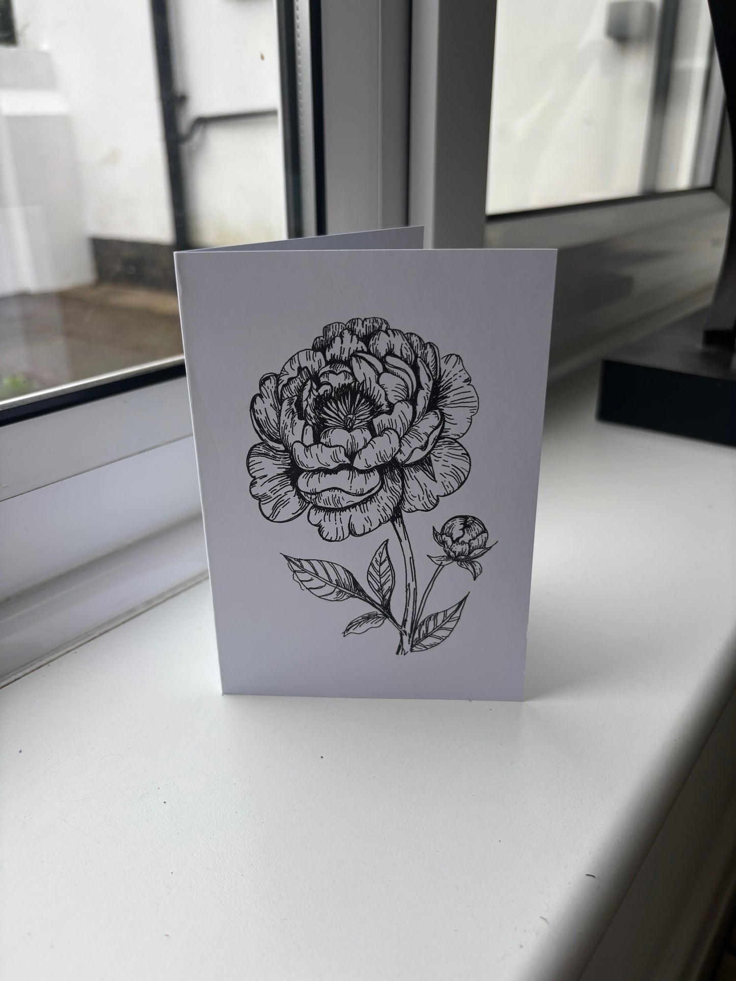 Peonies