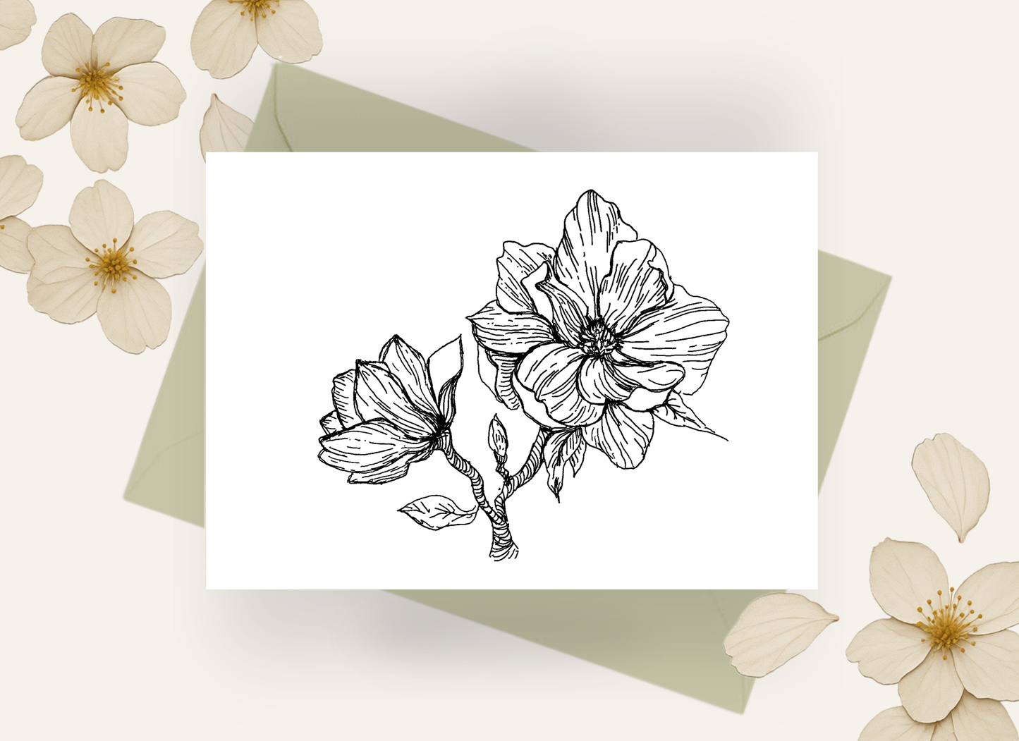 Magnolia