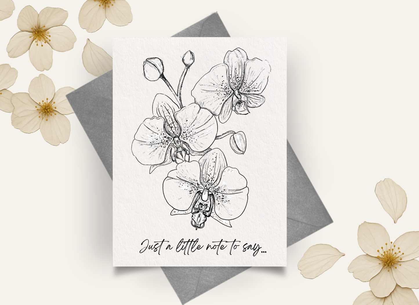 NEW! Orchids