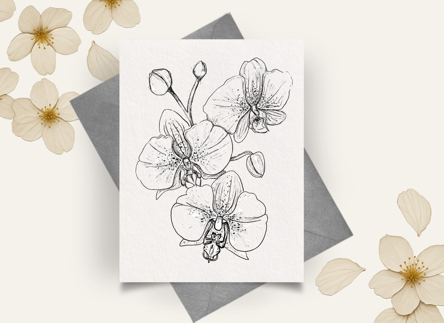 NEW! Orchids