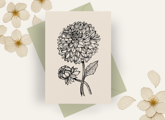 NEW! Dahlias