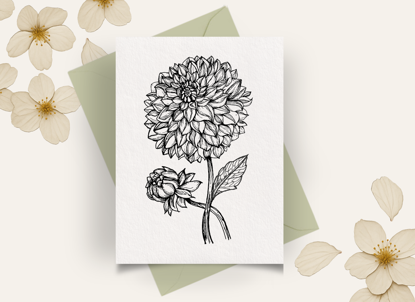 NEW! Dahlias