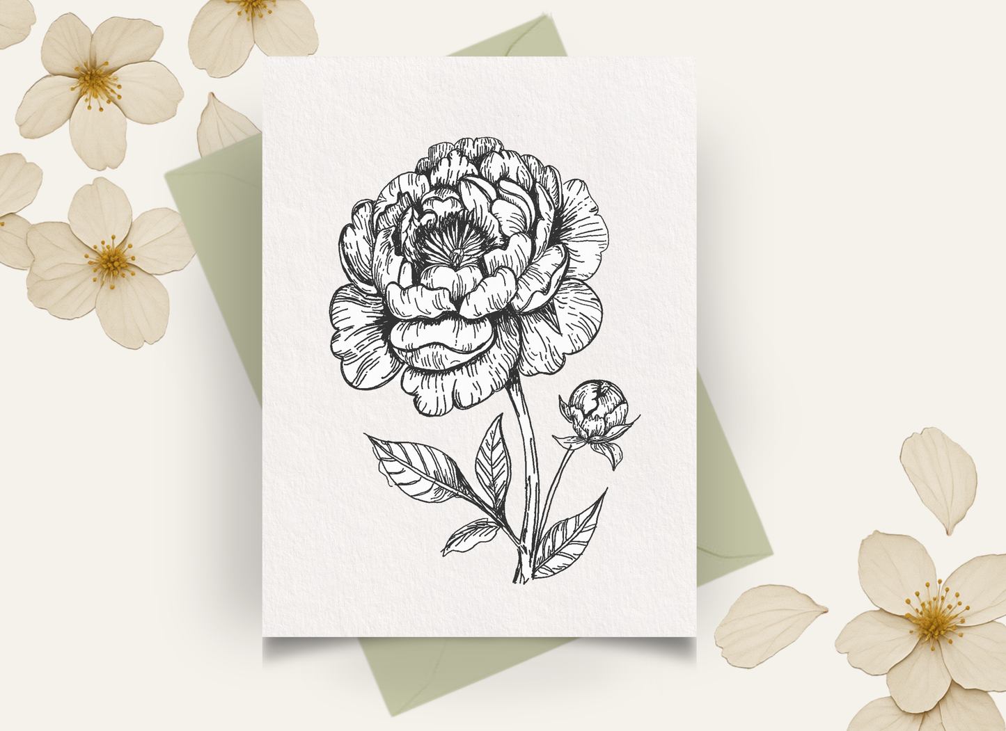 Peonies