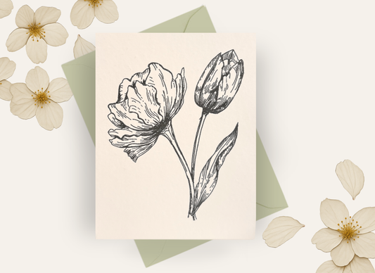 Tulips