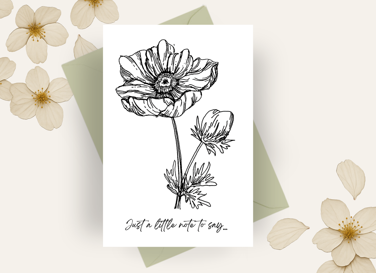 Anemone